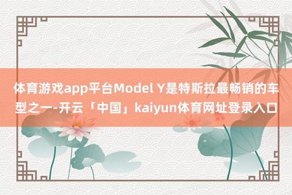 体育游戏app平台Model Y是特斯拉最畅销的车型之一-开云「中国」kaiyun体育网址登录入口
