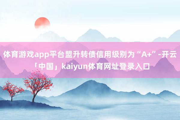 体育游戏app平台盟升转债信用级别为“A+”-开云「中国」kaiyun体育网址登录入口