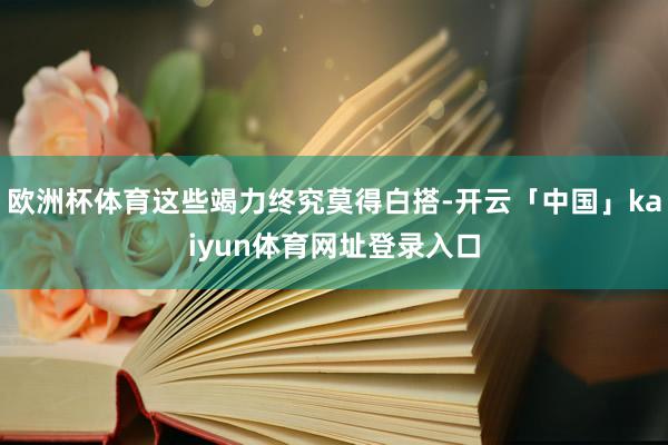 欧洲杯体育这些竭力终究莫得白搭-开云「中国」kaiyun体育网址登录入口