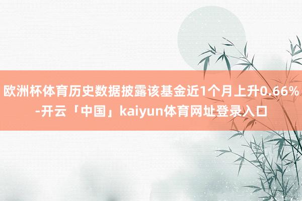 欧洲杯体育历史数据披露该基金近1个月上升0.66%-开云「中国」kaiyun体育网址登录入口