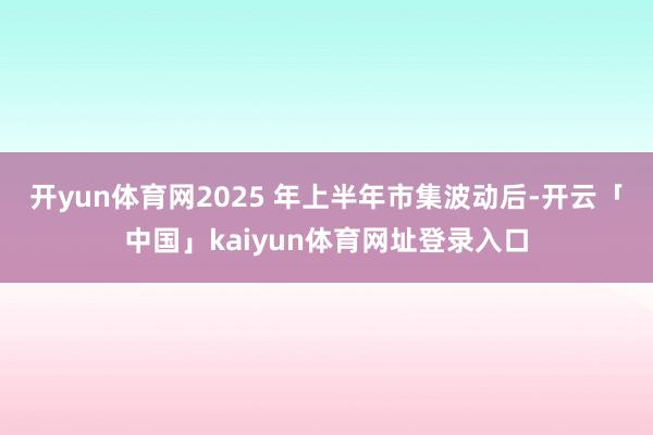 开yun体育网　　2025 年上半年市集波动后-开云「中国」kaiyun体育网址登录入口